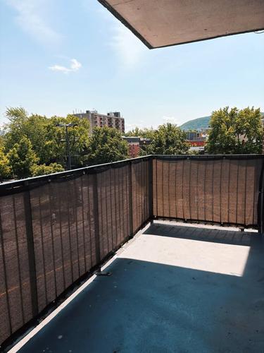 Appartement de 1 chambre à louer à Montreal - Le Plateau-Mont-Royal — photo 7