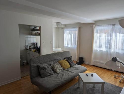 Appartement de 1 chambre à louer à Montreal - Rosemont–La Petite-Patrie — photo 3
