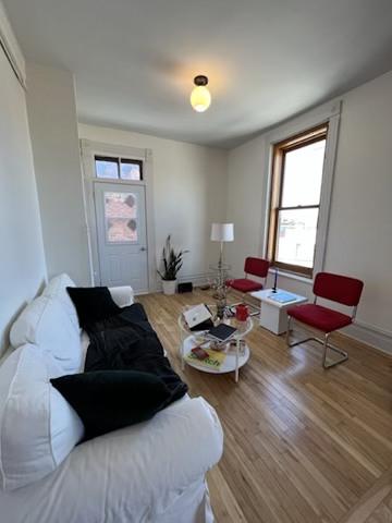 Appartement de 1 chambre à louer à Montreal - Le Plateau-Mont-Royal — photo 4