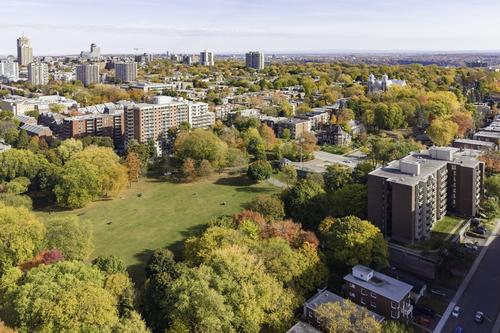 Appartement de 2 chambres à louer à Québec - La Cité-Limoilou — photo 18