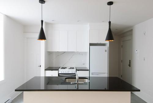 2 bedrooms apartment for rent in Montreal - Le Plateau-Mont-Royal — photo 3