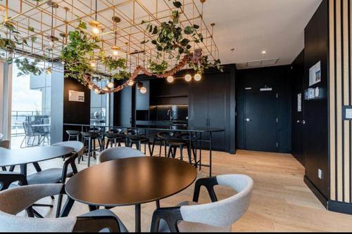 1 bedroom apartment for rent in Montreal - Ville-Marie — photo 17