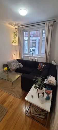 Appartement de 2 chambres à louer à Montreal - Le Plateau-Mont-Royal — photo 2
