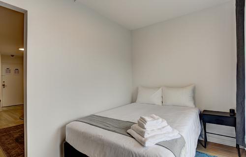 1 bedroom apartment for rent in Montreal - Ville-Marie — photo 3