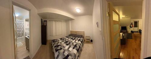 Appartement de 2 chambres à louer à Québec - La Cité-Limoilou — photo 4