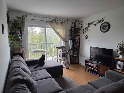 Appartement de 3 chambres à louer à Québec - Beauport — photo 6