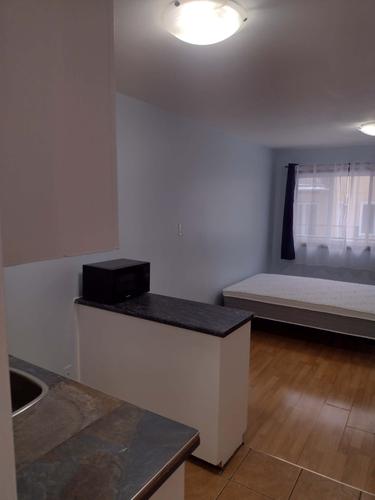 3 bedrooms apartment for rent in Montreal - Le Plateau-Mont-Royal — photo 19