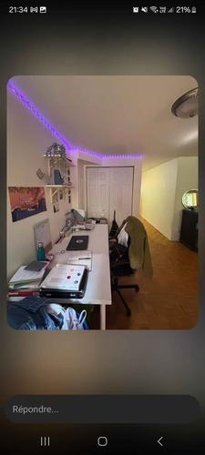 1 bedroom apartment for rent in Montreal - Le Plateau-Mont-Royal — photo 2