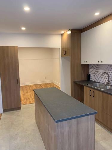 2 bedrooms apartment for rent in Montreal - Rosemont–La Petite-Patrie — photo 2