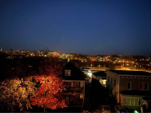 2 bedrooms apartment for rent in Sherbrooke — photo 17