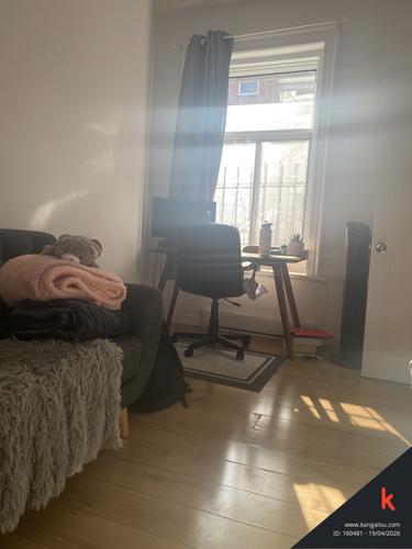 1 bedroom apartment for rent in Montreal - Le Plateau-Mont-Royal — photo 2