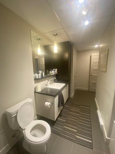 2 bedrooms apartment for rent in Québec - Sainte-Foy–Sillery–Cap-Rouge — photo 5