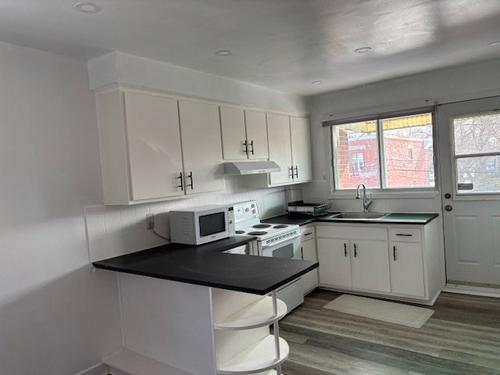 Appartement de 2 chambres à louer à Montreal - Le Plateau-Mont-Royal — photo 3