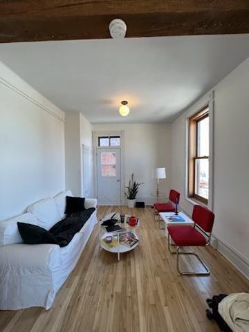 Appartement de 1 chambre à louer à Montreal - Le Plateau-Mont-Royal — photo 5