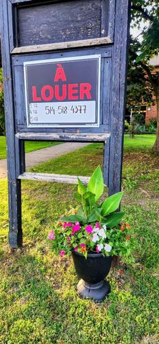 1 bedroom apartment for rent in Saint-Lambert (Montérégie) — photo 2