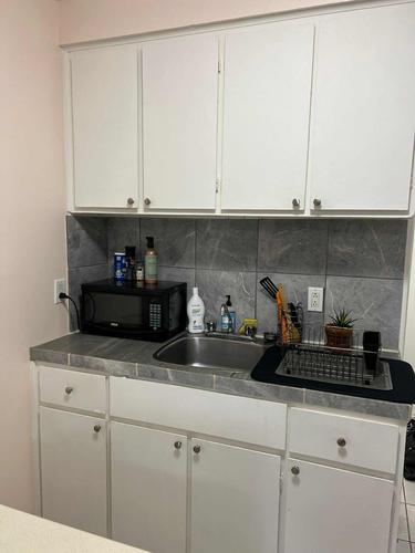 3 bedrooms apartment for rent in Montreal - Le Plateau-Mont-Royal — photo 6