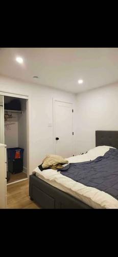 Appartement de 1 chambre à louer à Longueuil — photo 3