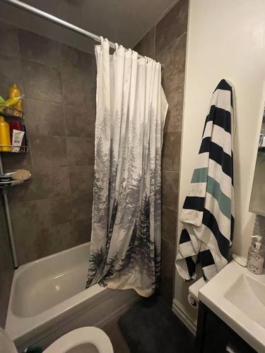 Appartement de 2 chambres à louer à Montreal - Rosemont–La Petite-Patrie — photo 11