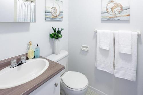 Appartement de 2 chambres à louer à Gatineau — photo 6