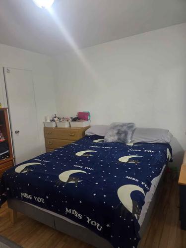 2 bedrooms apartment for rent in Québec - Sainte-Foy–Sillery–Cap-Rouge — photo 10