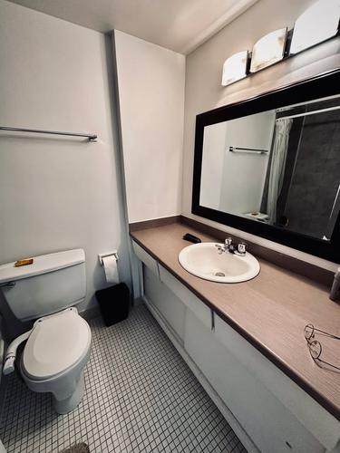 Appartement de 1 chambre à louer à Montreal - Le Plateau-Mont-Royal — photo 12