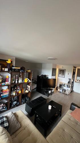 1 bedroom apartment for rent in Montreal - Le Plateau-Mont-Royal — photo 2
