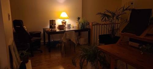 Studio à louer à Montreal - Le Plateau-Mont-Royal — photo 17