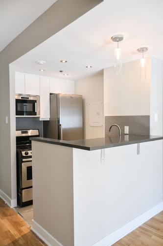 Appartement de 1 chambre à louer à Montreal - Le Plateau-Mont-Royal — photo 3