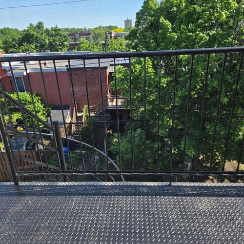 Appartement de 2 chambres à louer à Montreal - Rosemont–La Petite-Patrie — photo 11