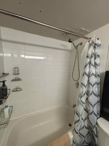 1 bedroom apartment for rent in Montreal - Le Plateau-Mont-Royal — photo 8
