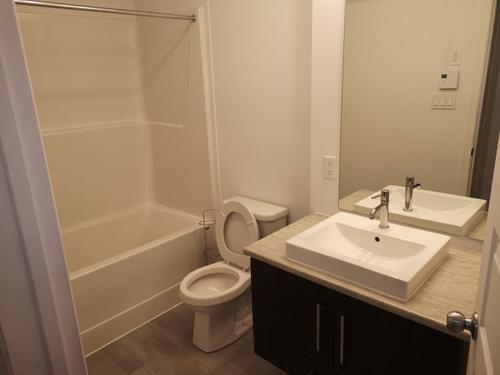 Appartement de 1 chambre à louer à Gatineau — photo 4