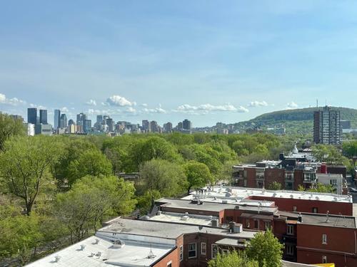 Appartement de 1 chambre à louer à Montreal - Le Plateau-Mont-Royal — photo 10