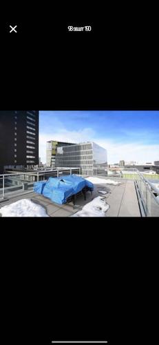 1 bedroom apartment for rent in Montreal - Ville-Marie — photo 8