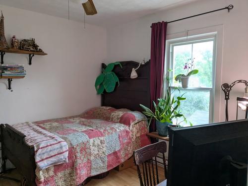 2 bedrooms apartment for rent in Sherbrooke — photo 5