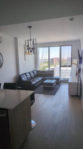 Appartement de 1 chambre à louer à Longueuil — photo 2
