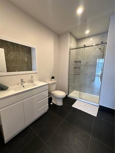 Appartement de 2 chambres à louer à Laval — photo 14