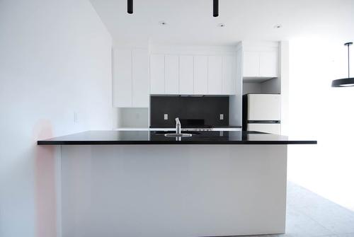 1 bedroom apartment for rent in Montreal - Rosemont–La Petite-Patrie — photo 3