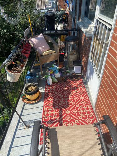 Appartement de 1 chambre à louer à Montreal - Mercier–Hochelaga-Maisonneuve — photo 10
