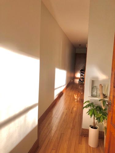 1 bedroom apartment for rent in Montreal - Le Plateau-Mont-Royal — photo 8