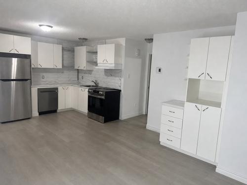 1 bedroom apartment for rent in Gatineau — photo 4
