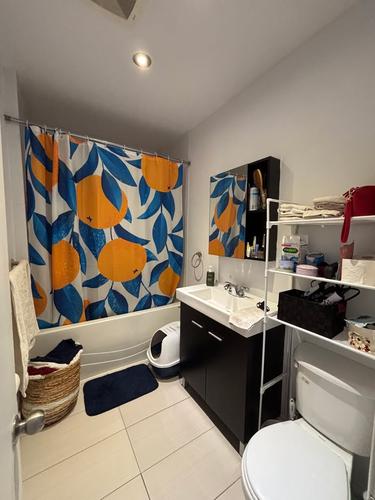 1 bedroom apartment for rent in Montreal - Rosemont–La Petite-Patrie — photo 14