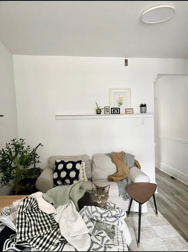 1 bedroom apartment for rent in Montreal - Rosemont–La Petite-Patrie — photo 10