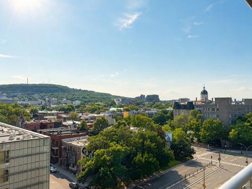 1 bedroom apartment for rent in Montreal - Le Plateau-Mont-Royal — photo 3