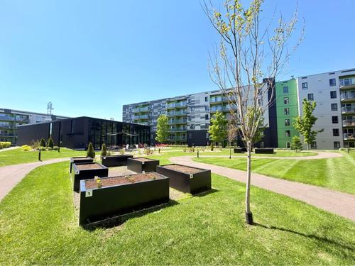 1 bedroom apartment for rent in Québec - Sainte-Foy–Sillery–Cap-Rouge — photo 19