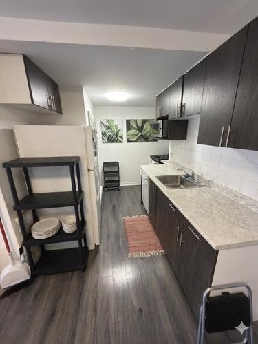 1 bedroom apartment for rent in Montreal - Le Plateau-Mont-Royal — photo 3
