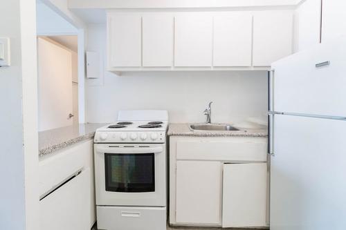 1 bedroom apartment for rent in Montreal - Le Plateau-Mont-Royal — photo 3