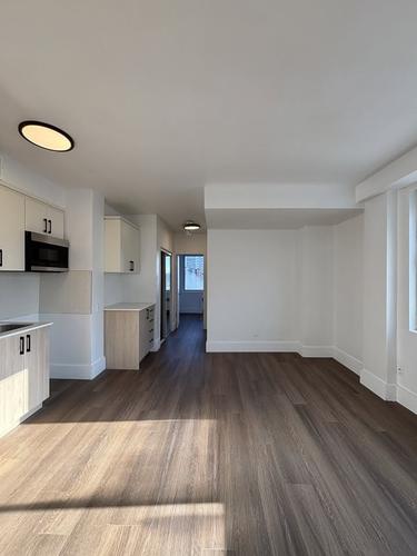 1 bedroom apartment for rent in Montreal - Le Plateau-Mont-Royal — photo 2