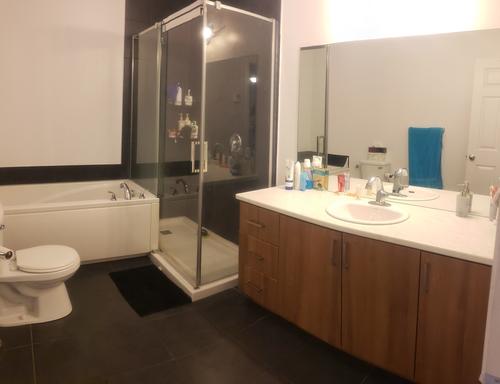 Appartement de 2 chambres à louer à Gatineau — photo 8