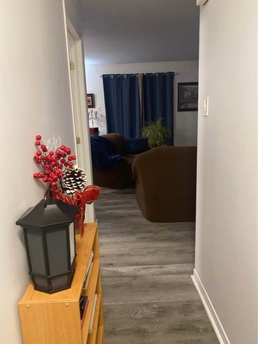 Appartement de 2 chambres à louer à Gatineau — photo 3