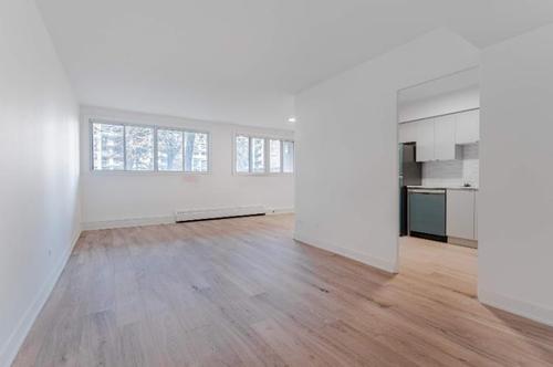 Appartement de 1 chambre à louer à Montreal - Saint-Laurent — photo 3